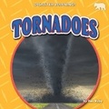 Cover: Tornadoes - Bearcub Books