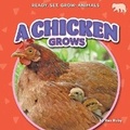 Cover: A Chicken Grows - Bearcub Books