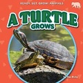 Cover: A Turtle Grows - Bearcub Books