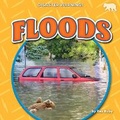 Cover: Floods - Bearcub Books