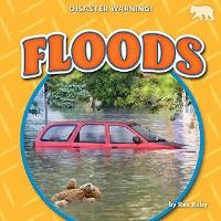 Enlarge image Cover: Floods - Bearcub Books