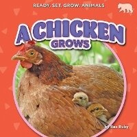 Enlarge image Cover: A Chicken Grows - Bearcub Books