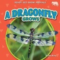 Cover: A Dragonfly Grows - Bearcub Books
