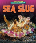 Cover: Sea Slug - Bearport Publishing by Flutterbee