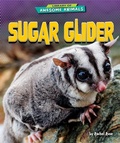 Cover: Sugar Glider - Bearport Publishing by Flutterbee