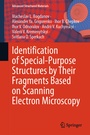 Cover: Identification of Special-Purpose Structures by Their Fragments Based on Scanning Electron Microscopy - Springer