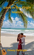 Cover: Love in the Virgin Islands - D to the Fourth Books & Scripts, LLC