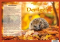 Cover: Natur-Kamishibai / Der Igel - Natur-Kamishibai - Fischer-Nagel, H
