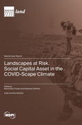 Cover: Landscapes at Risk. Social Capital Asset in the COVID-Scape Climate - MDPI AG