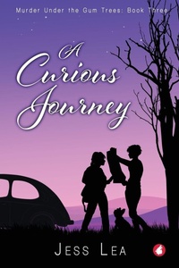 Enlarge image Cover: A Curious Journey - Ylva Verlag E.Kfr.