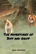 Cover: The Adventures of Biff and Griff - David McCarthy