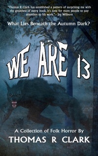 Enlarge image Cover: We Are 13 - Nightswan Press