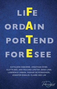 Enlarge image Cover: Fate - Transcendent Authors