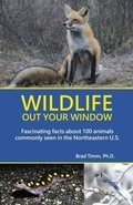 Cover: Wildlife Out Your Window - Northeast Wildlife Team