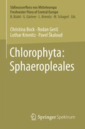 Abbildung von: Chlorophyta: Sphaeropleales - Springer Spektrum