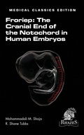 Bild: The Cranial End of the Notochord in Human Embryos - Rhazes, LLC.