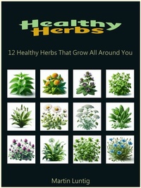 Abbildung von: Healthy Herbs - Travel The World