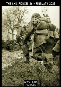 Abbildung von: The Axis Forces 26 - IT - Soldiershop