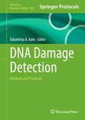 Abbildung von: DNA Damage Detection - Humana