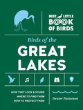Abbildung von: Birds of the Great Lakes - Timber Press