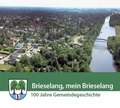 Cover: Brieselang, mein Brieselang - Ammian Verlag