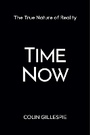 Cover: Time Now: The True Nature of Reality - Rodin Books