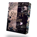 Cover: Court of Night - booXperts - logiXperts GmbH