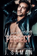 Cover: Waanzinnig perfect (Waanzinnig de jouwe, #2) - Sisters Press
