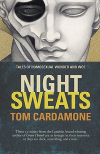 Enlarge image Cover: Night Sweats - BoldStrokesBooks