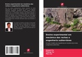 Cover: Ensino experimental em mecanica das rochas e engenharia subterranea - Edicoes Nosso Conhecimento