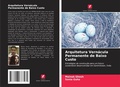 Cover: Arquitetura Vernacula Permanente de Baixo Custo - Edicoes Nosso Conhecimento