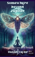 Cover: Somewhere Beyond Jupiter - Through the Eyes of a Seagull - Daniel J Taylor