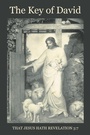 Cover: The Key of David - Page Publishing