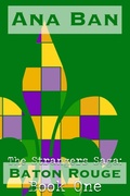 Cover: The Strangers Saga - Five Point Publishing