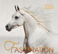 Abbildung von: Fascination 2026 - Edition Boiselle
