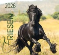 Cover: Friesen 2026 - Edition Boiselle