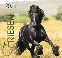 Abbildung von: Friesen 2026 - Edition Boiselle