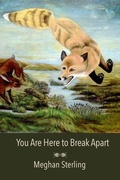 Cover: You Are Here to Break Apart - Lily Poetry Review