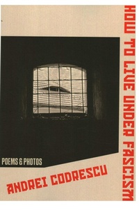 Enlarge image Cover: How to Live Under Fascism - Black Widow Press