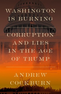 Enlarge image Cover: Washington Is Burning - Verso Books