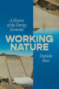 Enlarge image Cover: Working Nature - Verso Books