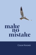 Cover: Make No Mistake - Cinnamon Press