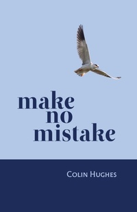 Enlarge image Cover: Make No Mistake - Cinnamon Press