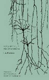 Enlarge image Cover: Notes of the Phantom Woman - Ugly Duckling Presse