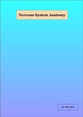 Abbildung von: Nervous System Anatomy - Shiv Dutt