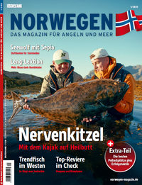 Abbildung von: Norwegen Magazin 1/25 + DVD - Parey, P