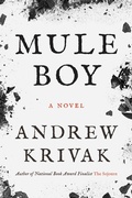 Cover: Mule Boy - Bellevue Literary Press
