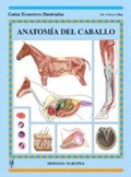 Cover: Anatom&iacute;a del caballo - Editorial Hispano Europea S.A.