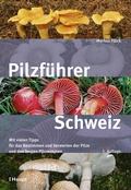 Cover: Pilzf&uuml;hrer Schweiz - Haupt Verlag
