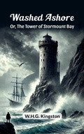Cover: Washed Ashore Or, The Tower of Stormount Bay - Double 9 Books